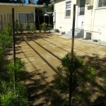 Drought tolerant yard convert your yard to good soil with no grass.