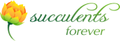 succulentsforever succulentsforever